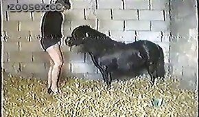 xnxx - pónei,sexo de cachorro